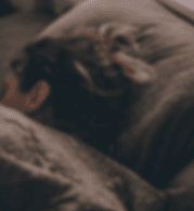 Mind sleep schedule background